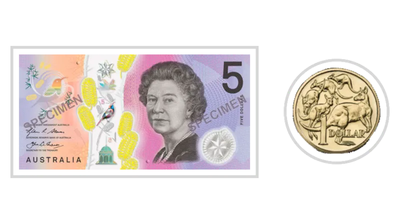 Money Counting